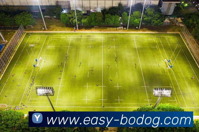 博狗娱乐平台生态图