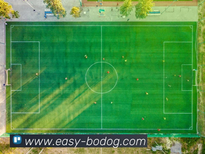 博狗娱乐APP 封面图