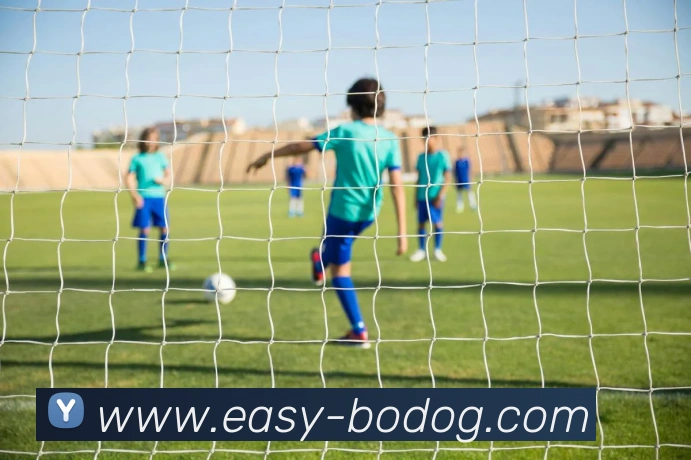 数据防护可视化